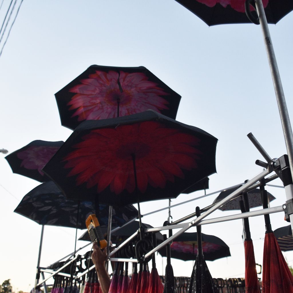 festival 2019#3 009 (1024x1024).jpg